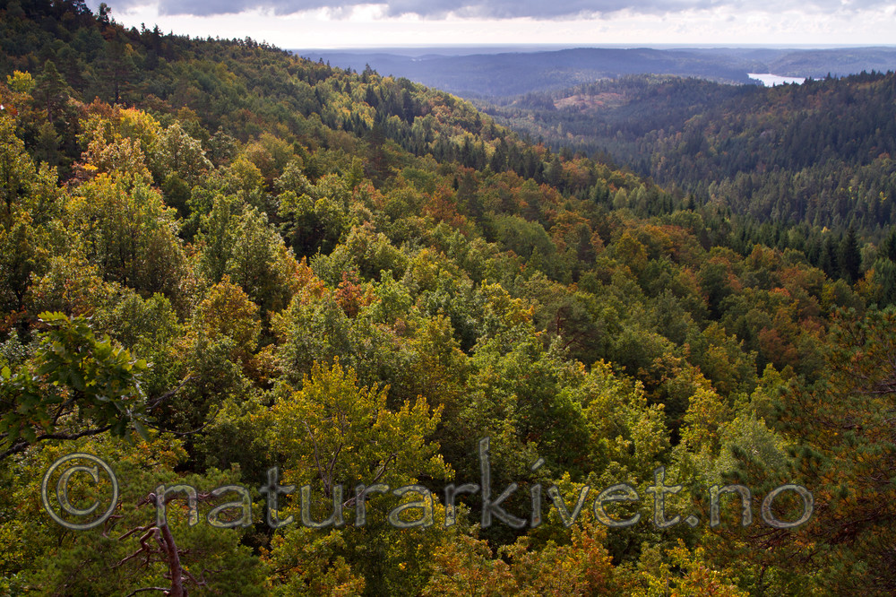 KA_100930_6194