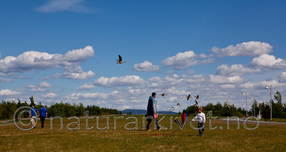 KA_110514_2099