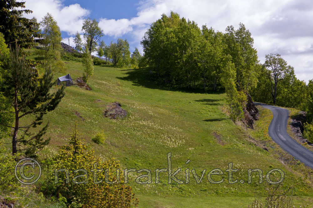 KA_110525_2695