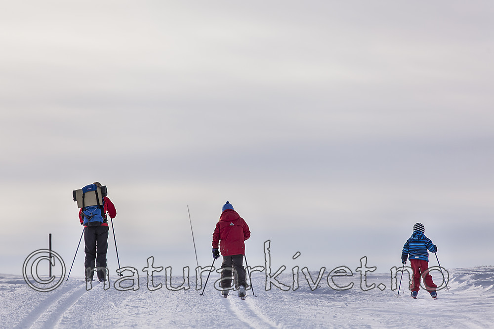 KA_120226_3730