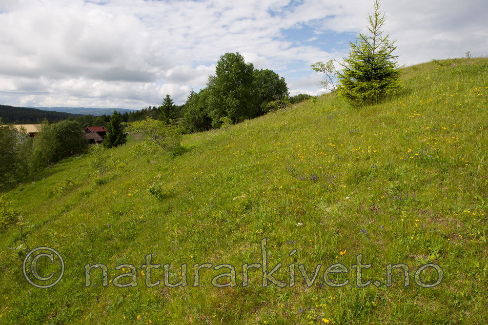 KA_120614_2605