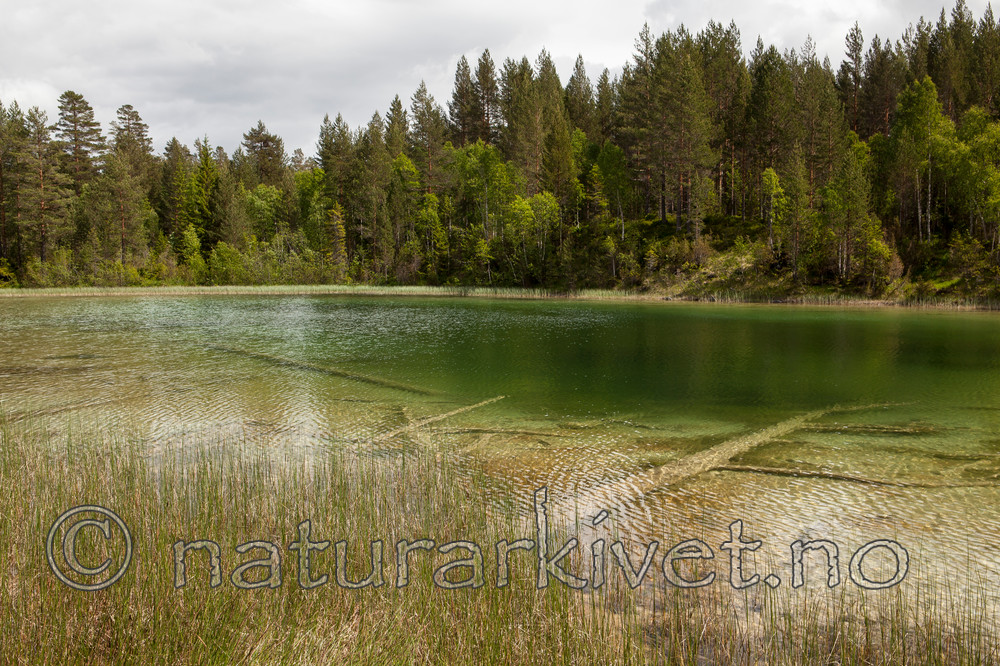 KA_120617_4786