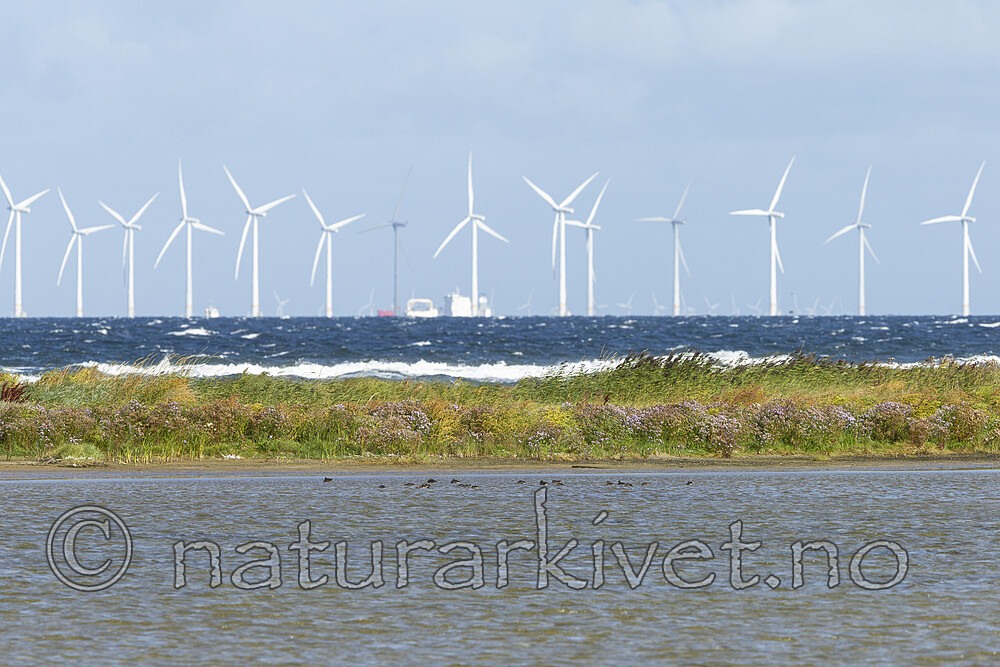 KA_120908_6020