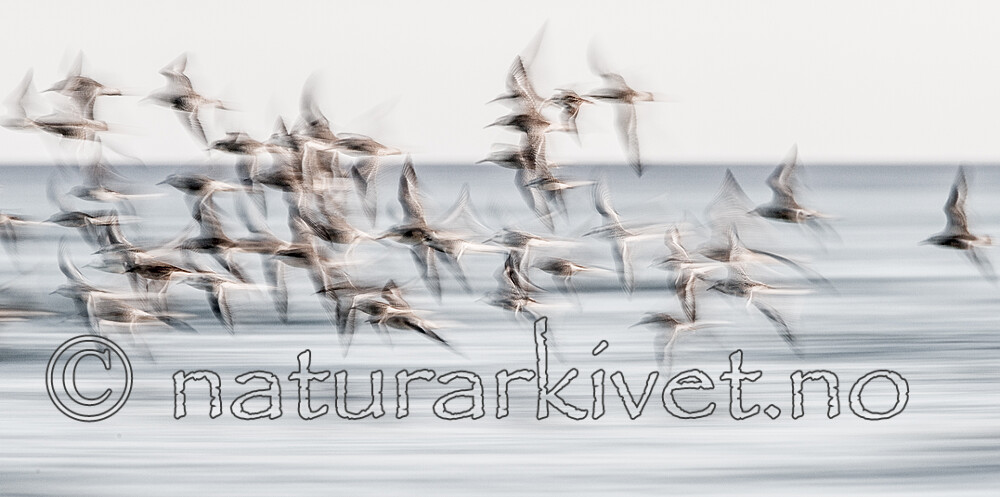 KA_120908_6128