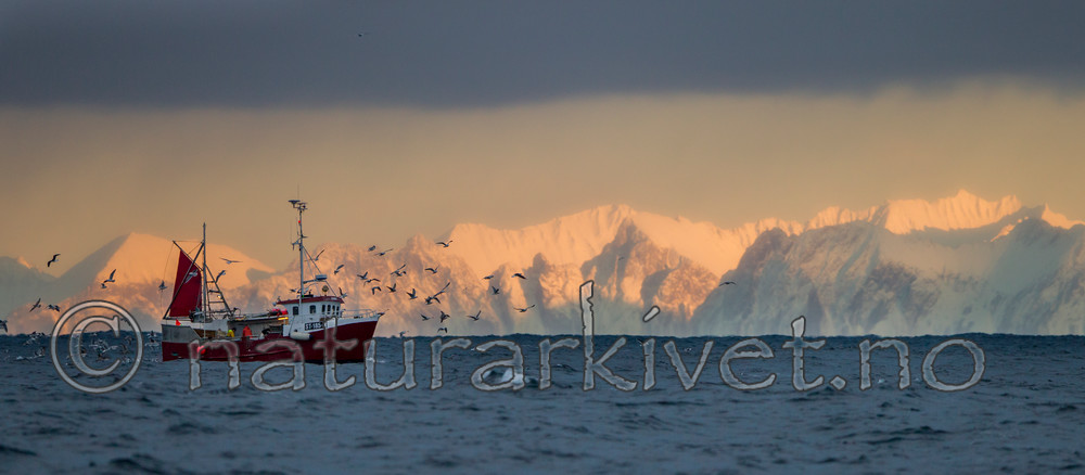 KA_130203_0110
