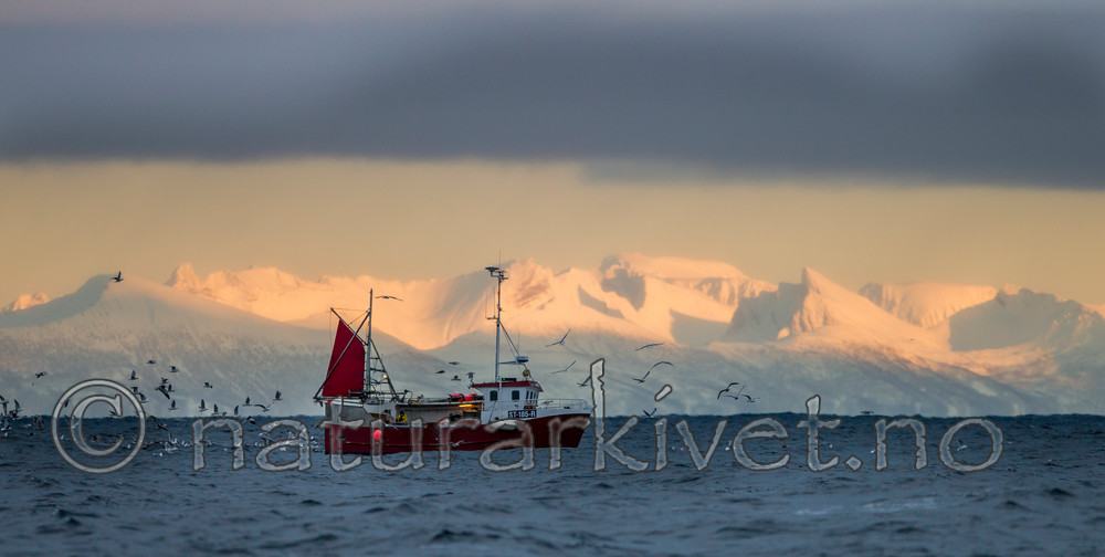 KA_130203_0111