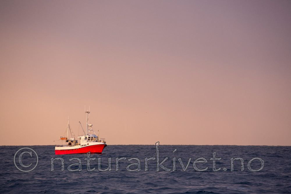 KA_130204_0157