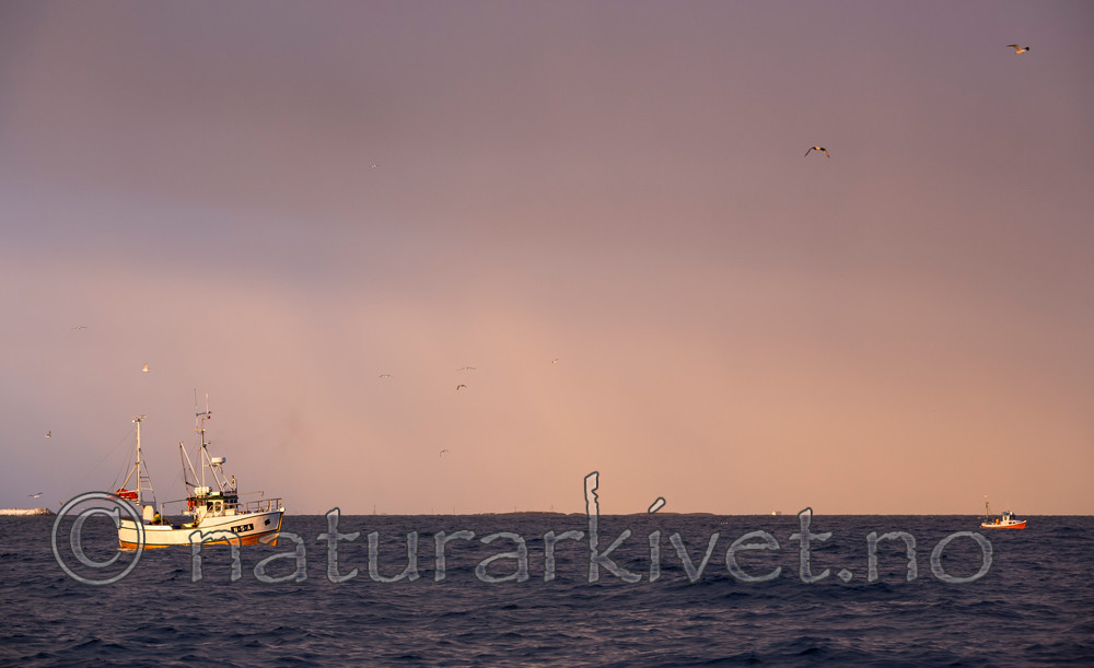 KA_130204_0160