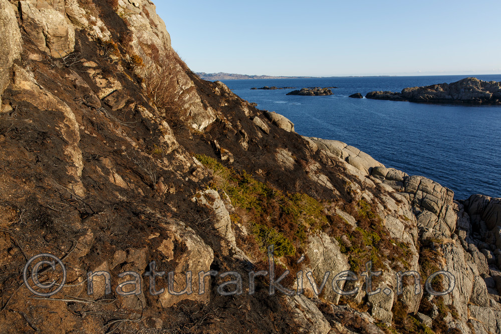 KA_130408_0732
