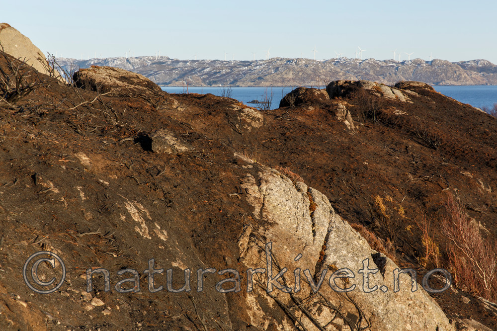 KA_130408_0738