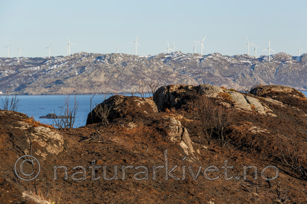 KA_130408_0739
