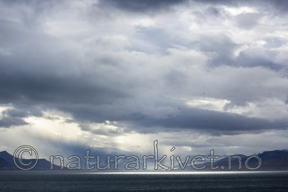 KA_130818_3916