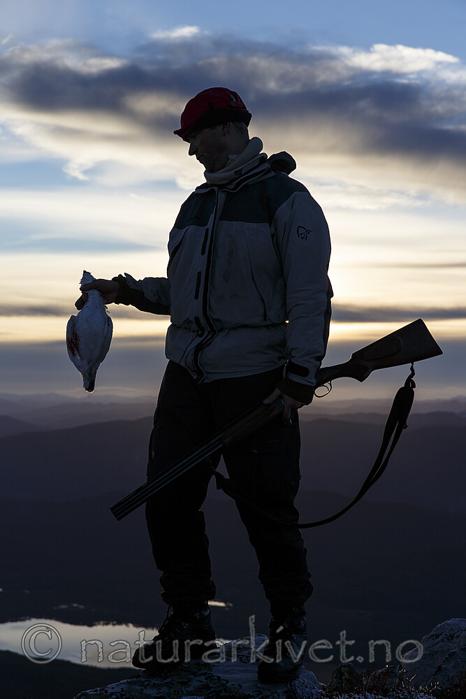 KA_131102_5374 / Lagopus lagopus / Lirype