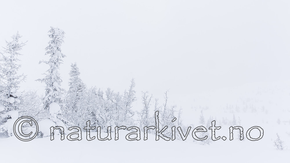 KA_140126_0195