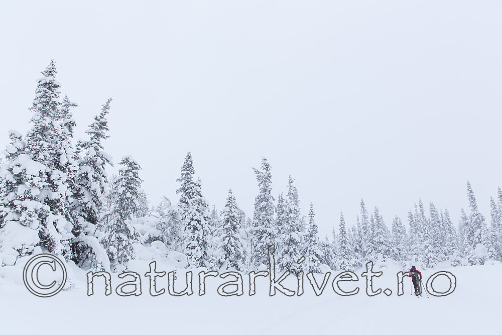 KA_140201_0210