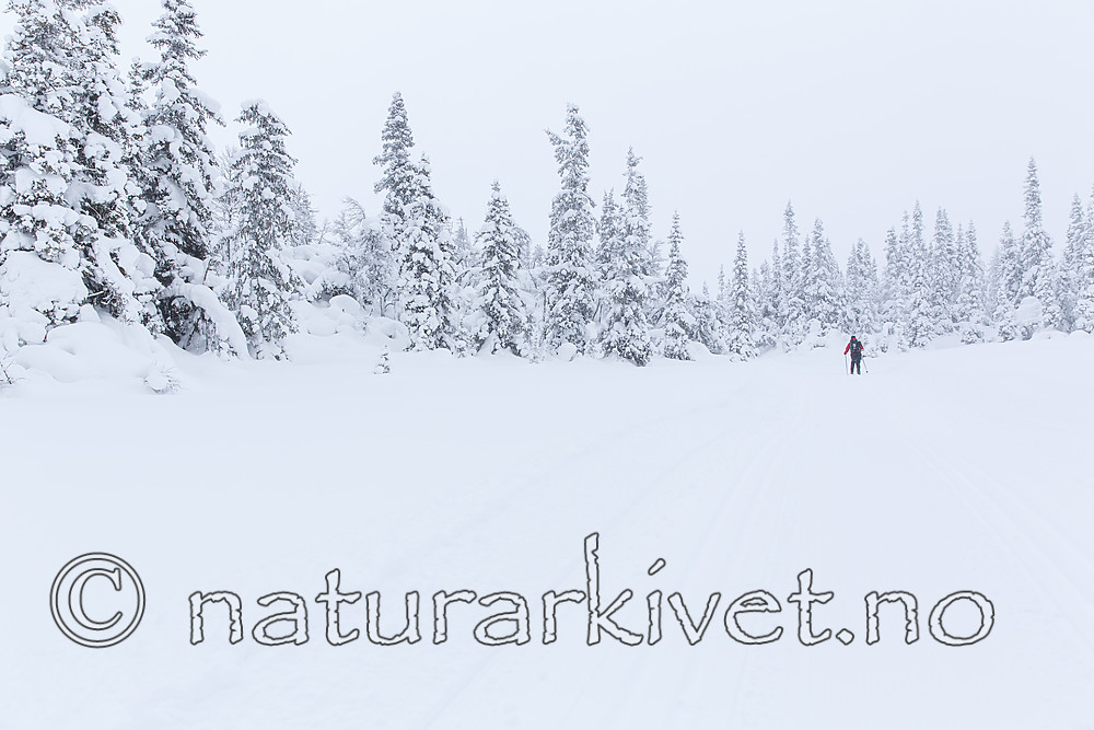 KA_140201_0211