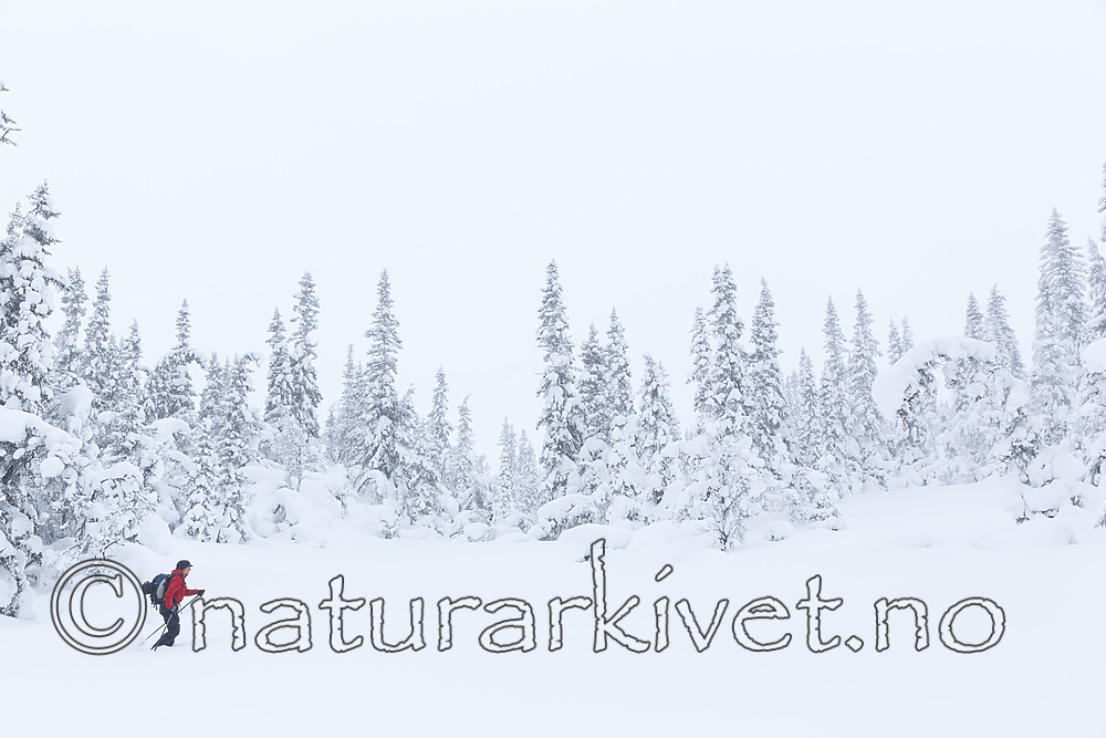 KA_140201_0214