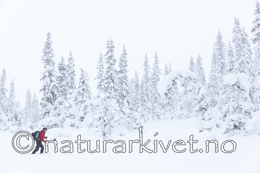 KA_140201_0217