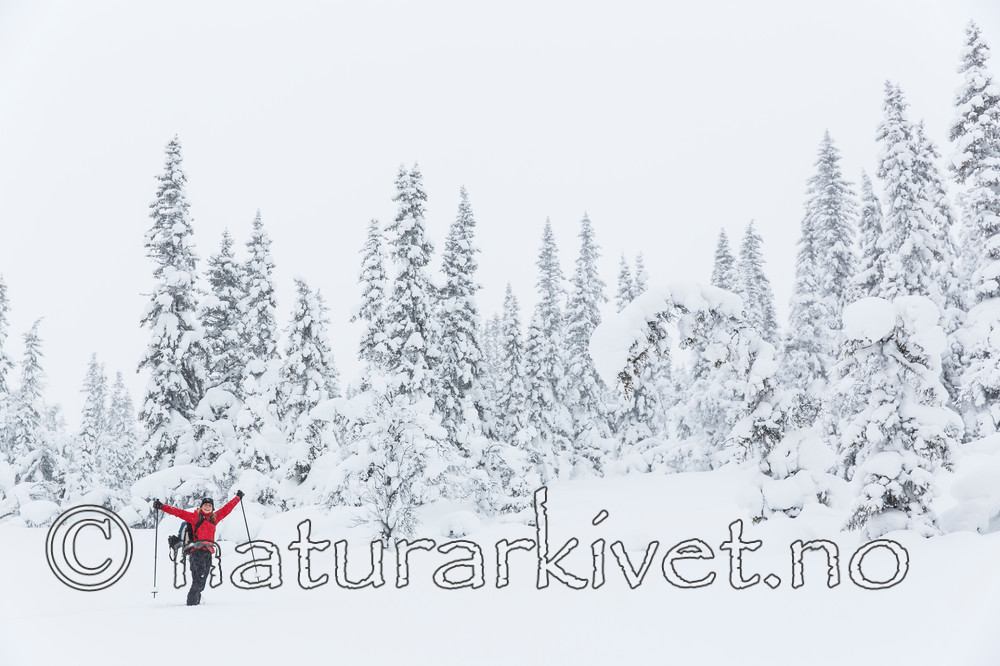 KA_140201_0218