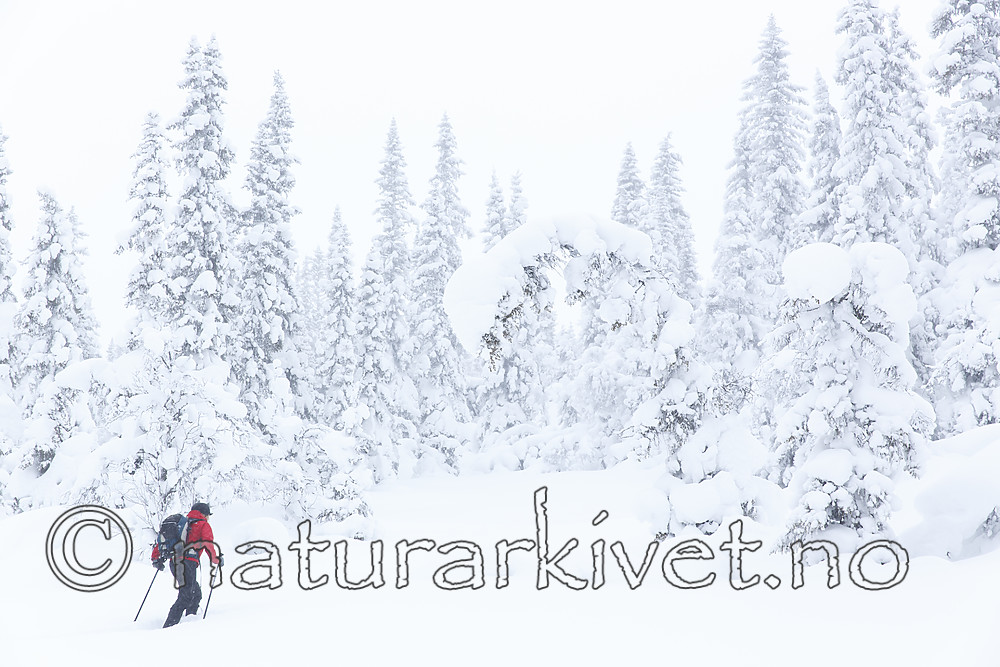KA_140201_0219