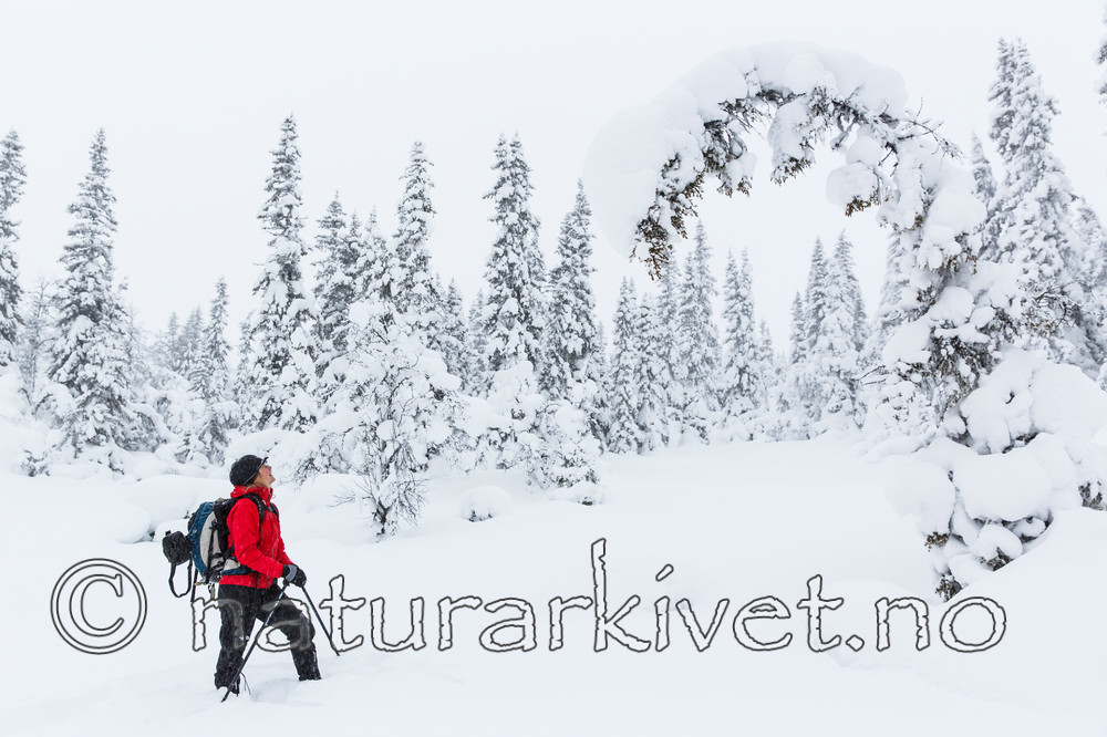 KA_140201_0225