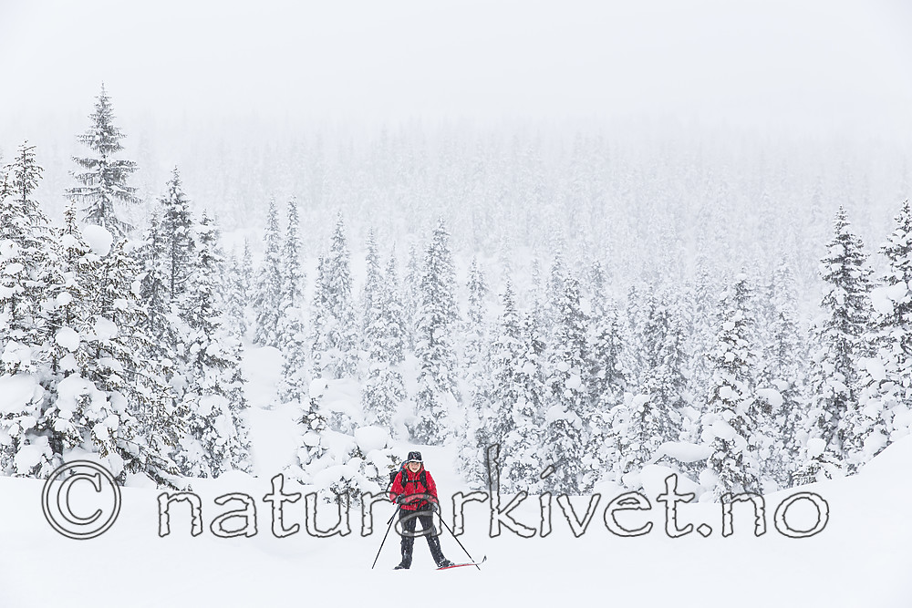 KA_140201_0232