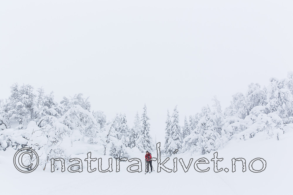 KA_140201_0235