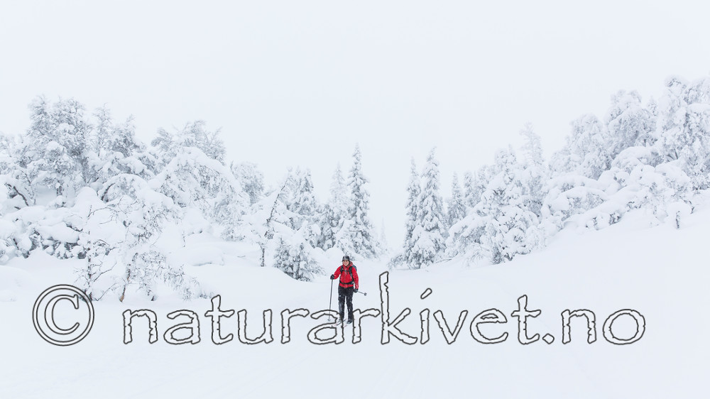 KA_140201_0236