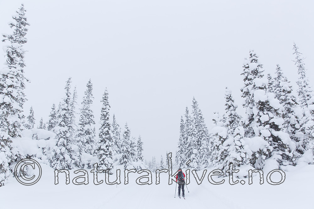 KA_140201_0247