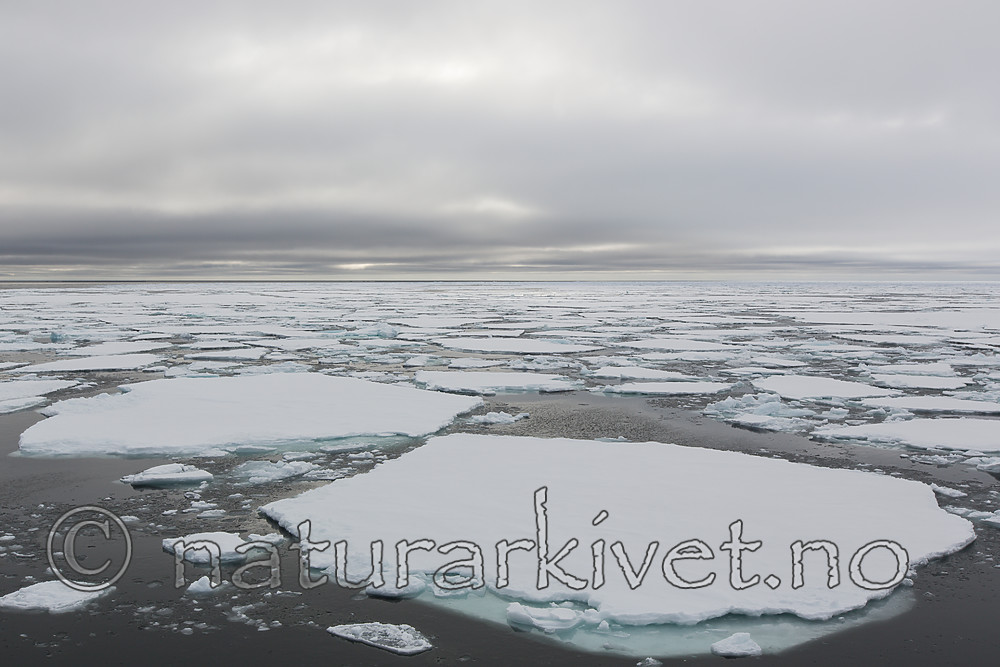 KA_140611_3320