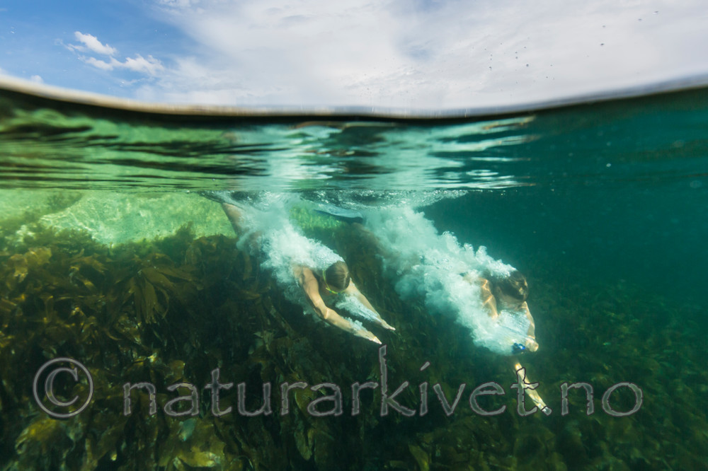 KA_140727_0924