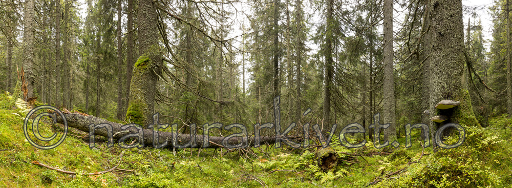 KA_141006_P4362-4370