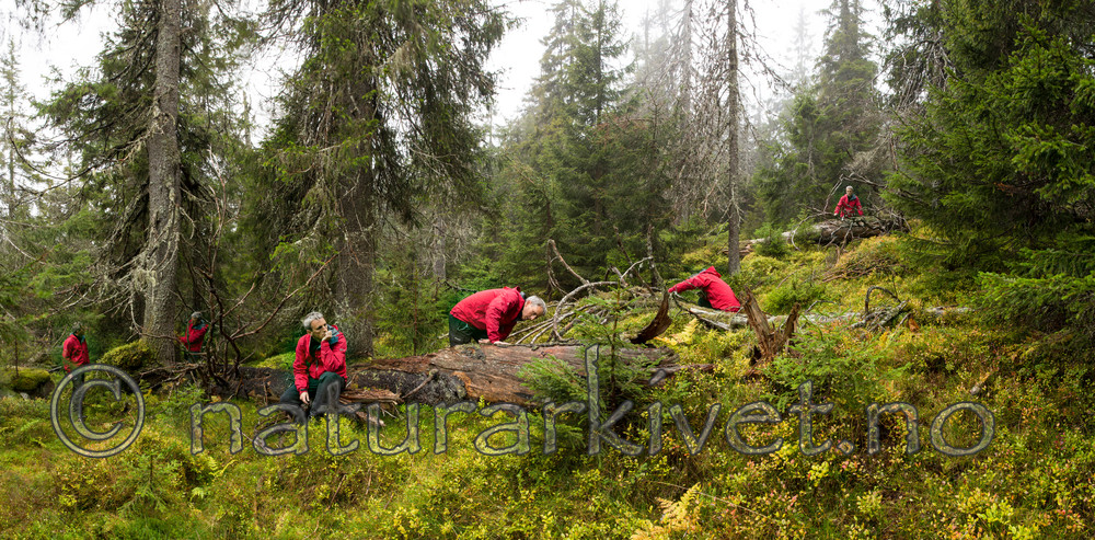 KA_141006_p4312-4317