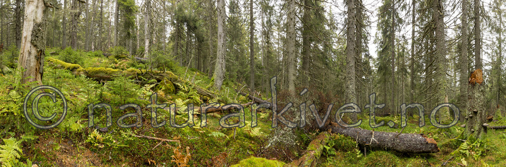 KA_141006_p4371-4384