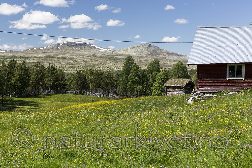 KA_150704_33