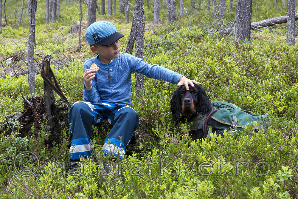 KA_150707_1 / Canis lupus familiaris / Hund