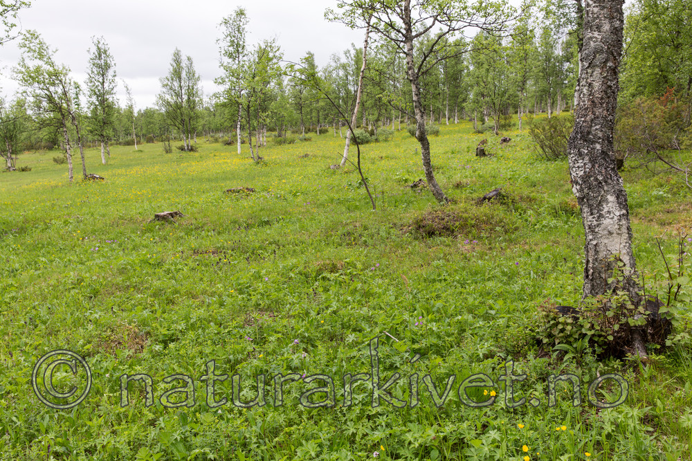 KA_150709_38