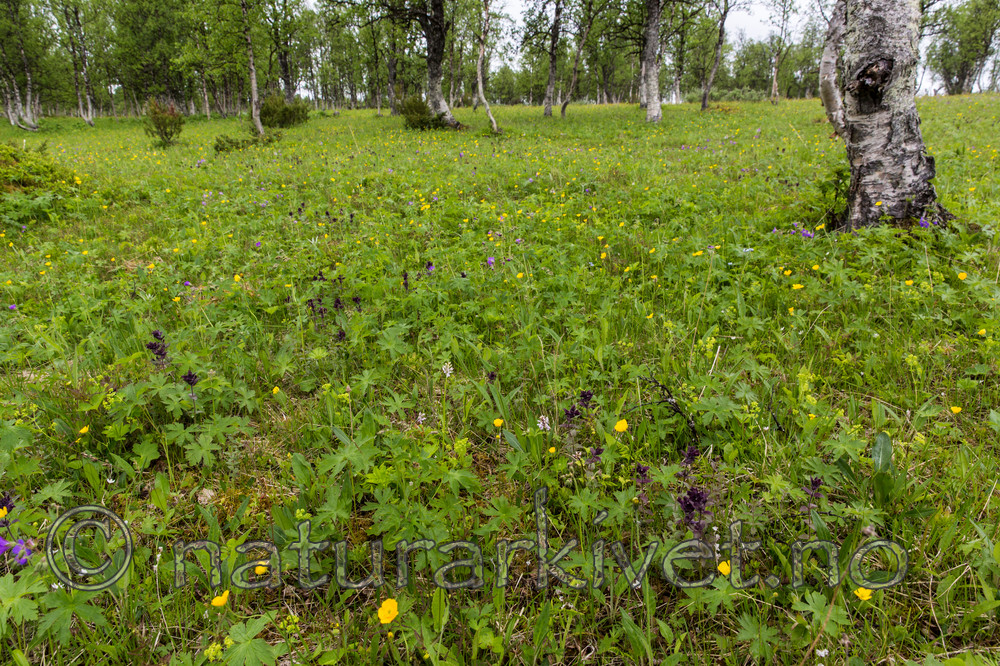 KA_150709_42