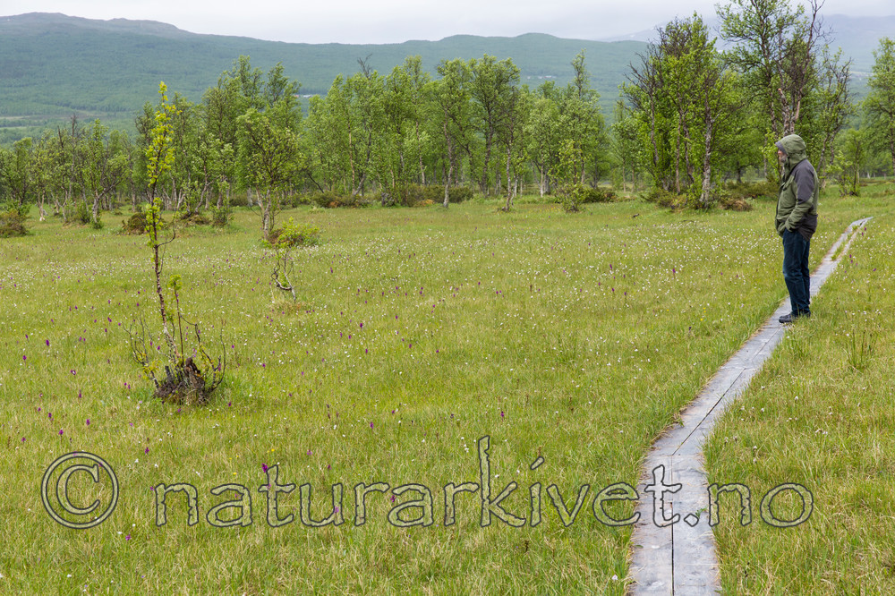 KA_150709_55