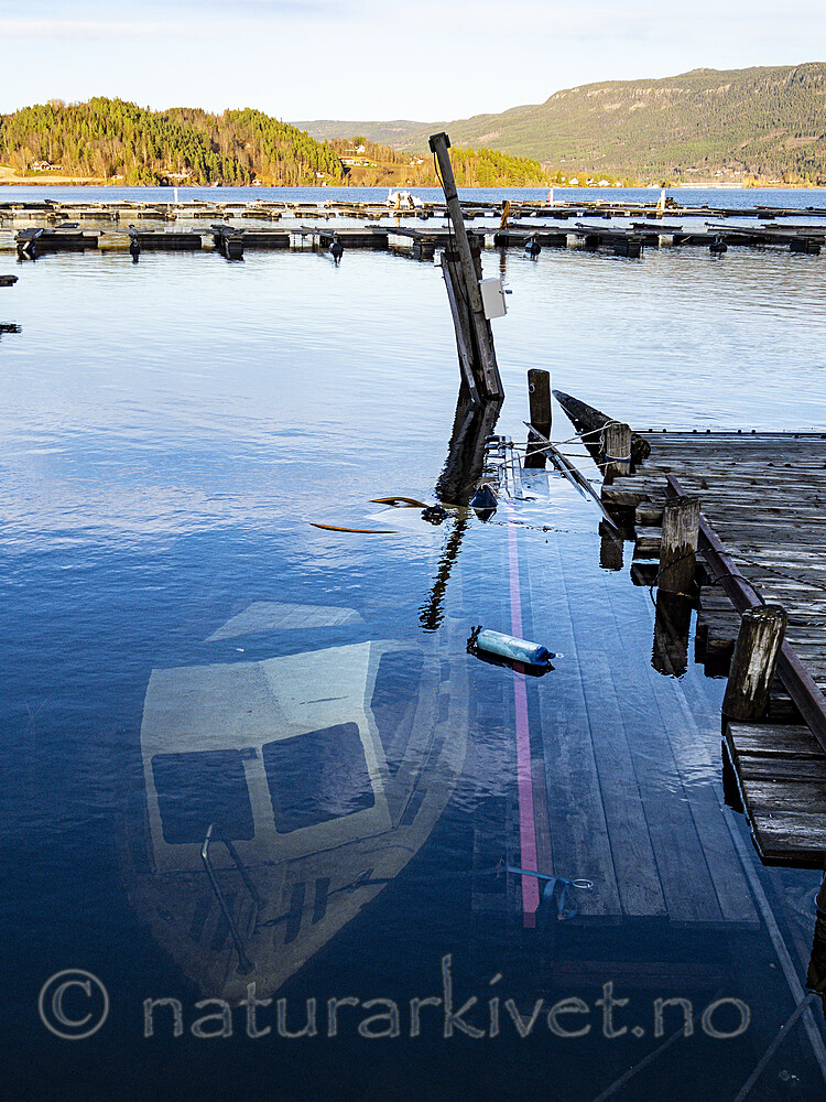 KA_151231_25