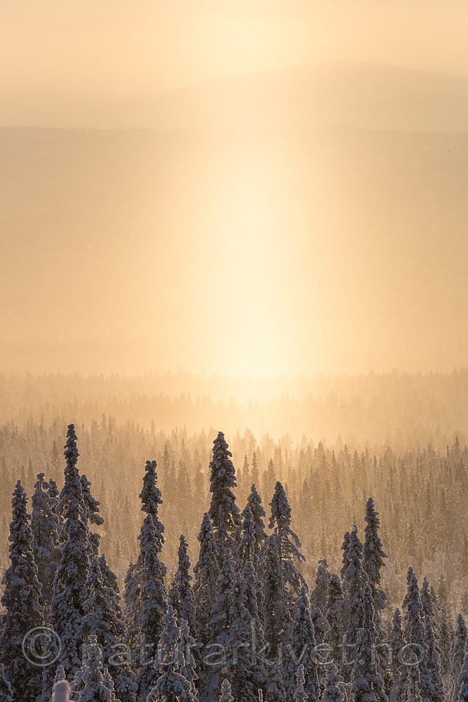 KA_160109_105