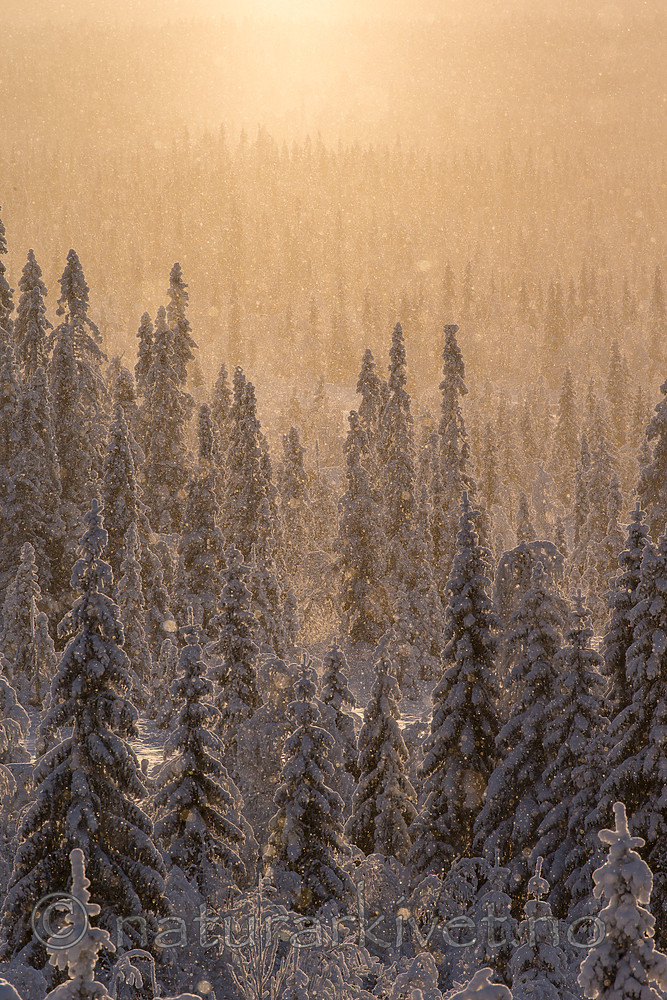 KA_160109_112