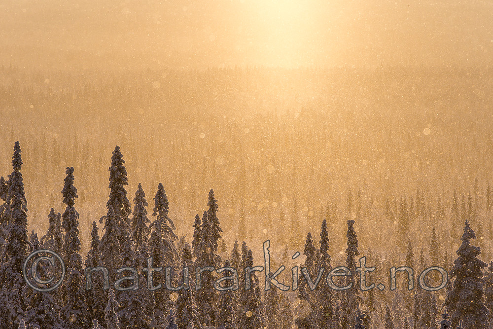KA_160109_114