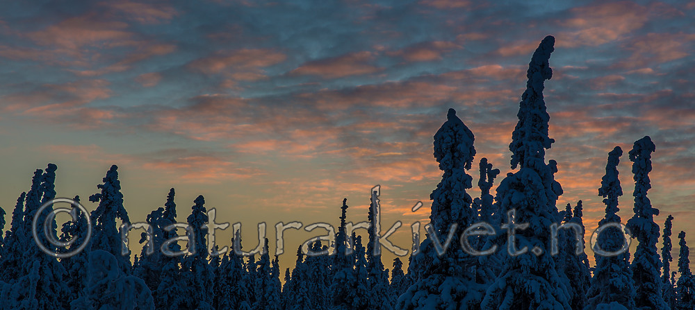 KA_160109_25