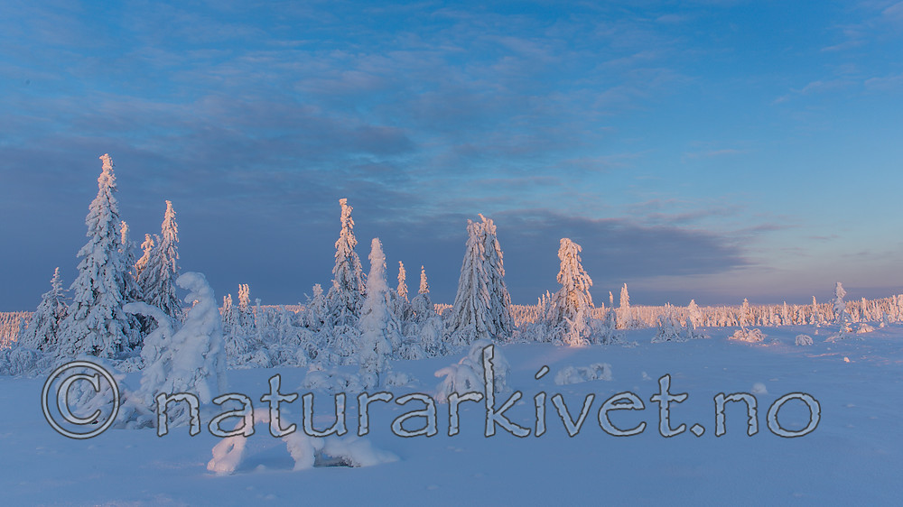 KA_160109_52