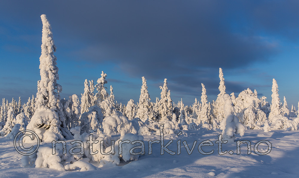 KA_160109_85
