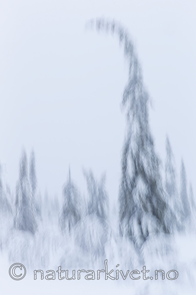 KA_160110_10