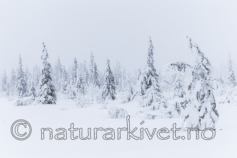 KA_160110_2
