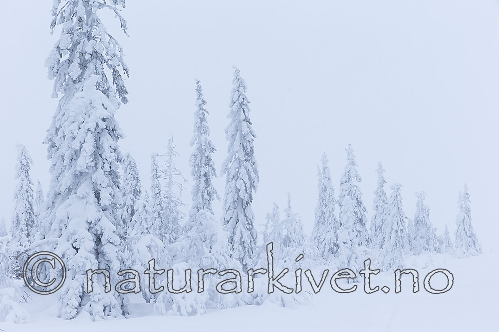 KA_160110_20