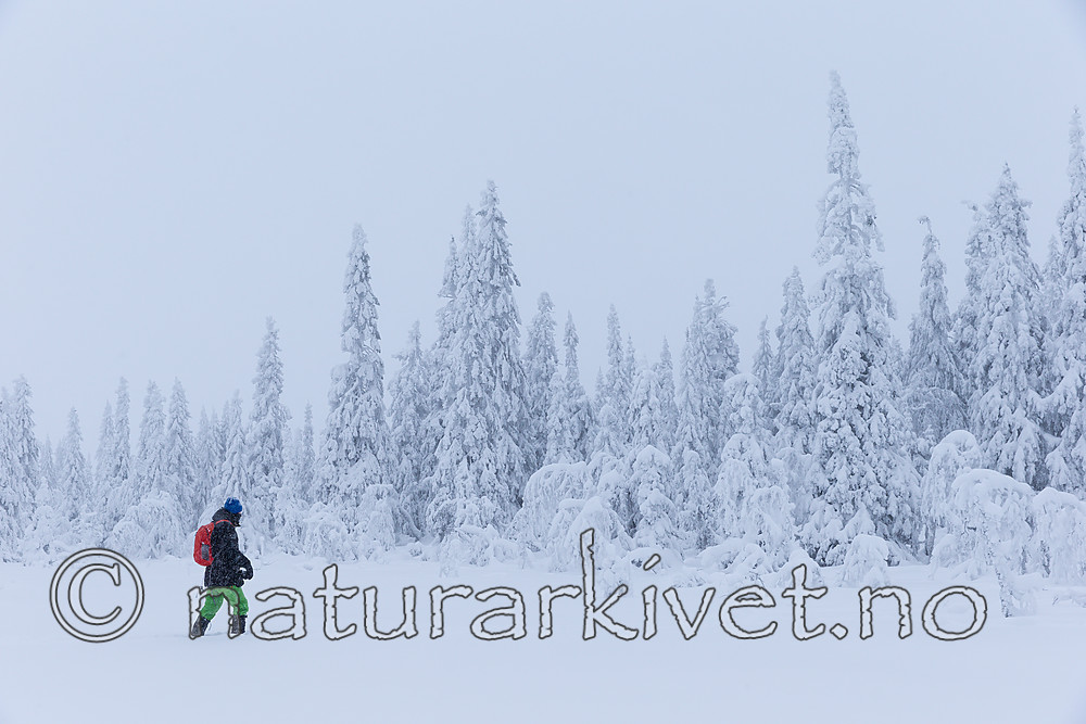KA_160110_31